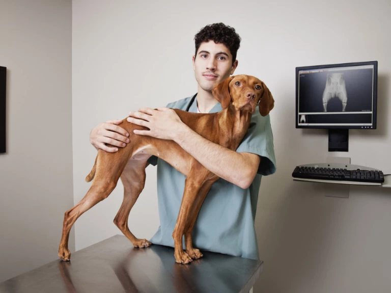 pies z lekarzem